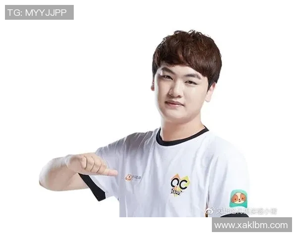 电竞新闻深度探讨刘敏在王者荣耀中的成长与挑战之路